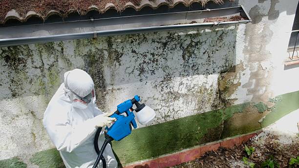 Trusted Crawl Space Mold Removal service in Wilsonville, OR - Cheap Mold Removal